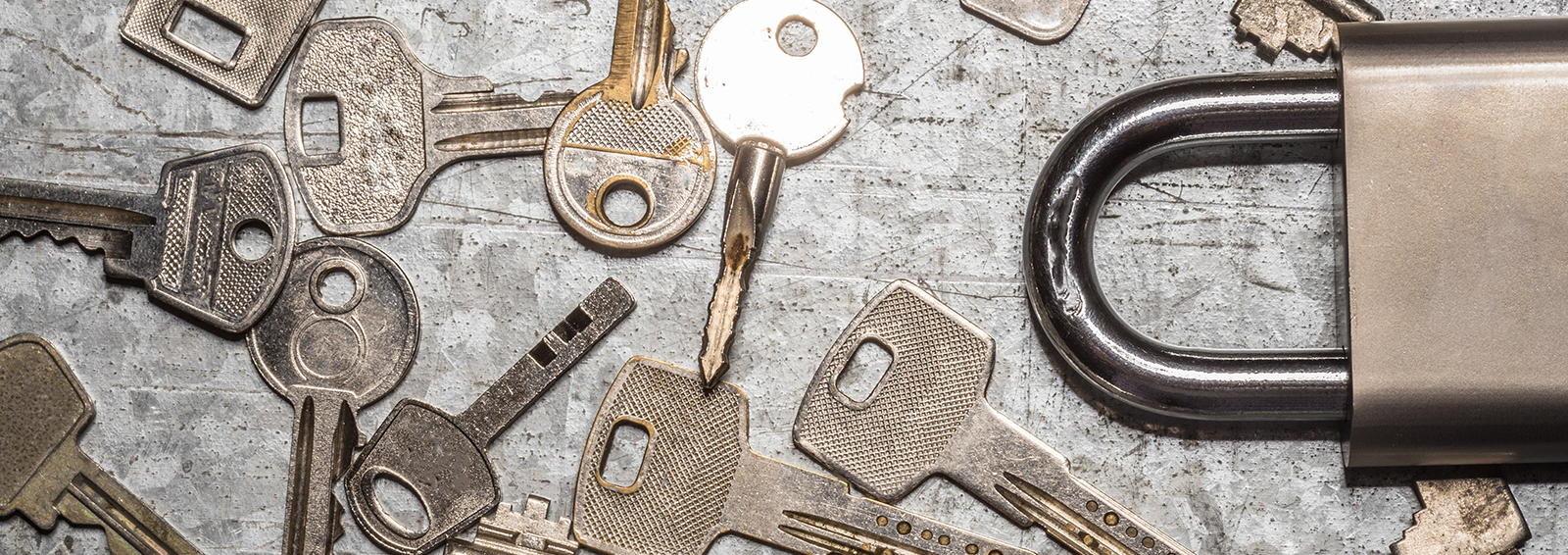 Schlossreperatur Stuttgart